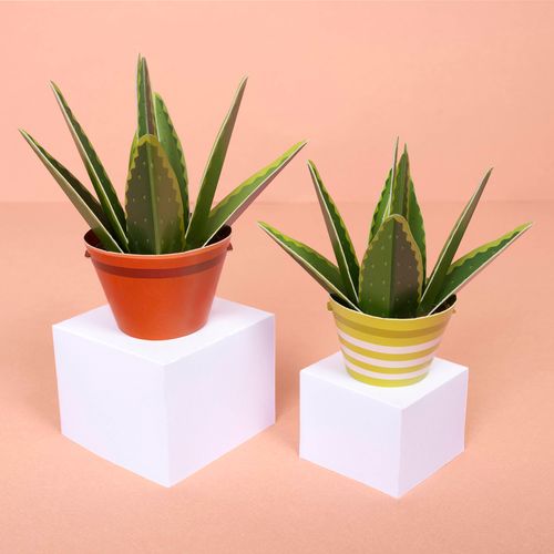 Make Your Own Aloe Vera Paper Plant