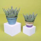 Make Your Calming Lavender Paper Plannt