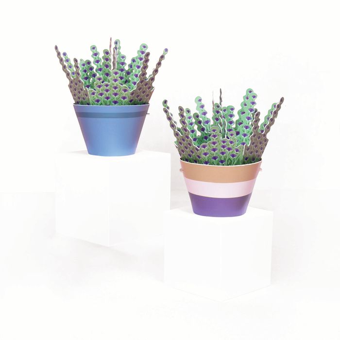Make Your Calming Lavender Paper Plannt