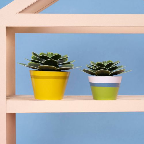 Make Your Soothing Succulent Paper Plant