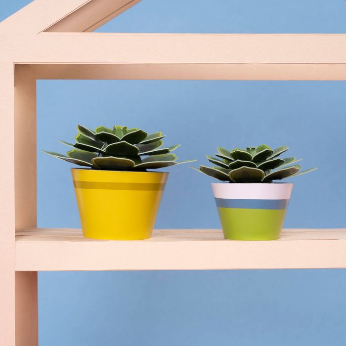 Make Your Soothing Succulent Paper Plant
