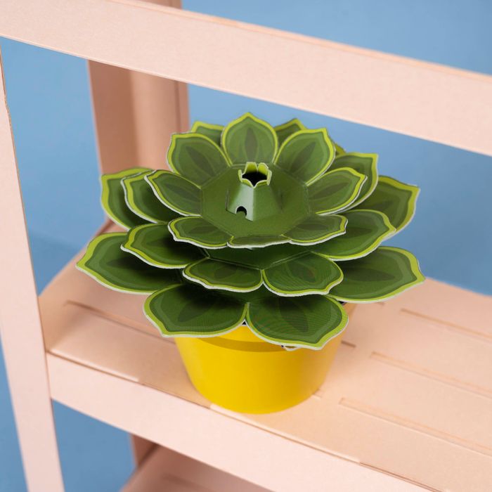 Make Your Soothing Succulent Paper Plant