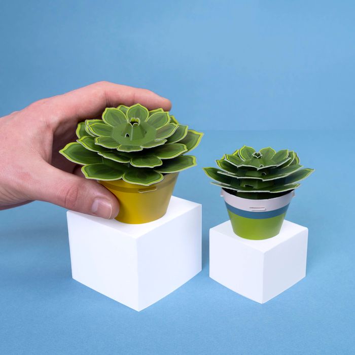 Make Your Soothing Succulent Paper Plant