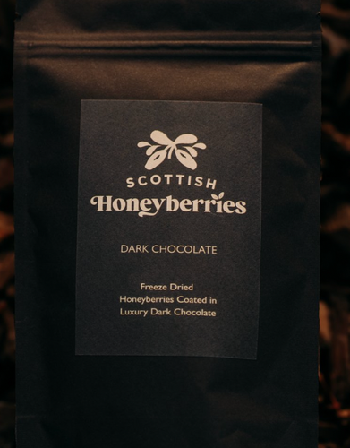 Dark Chocolate Coated Freeze Dried Honeyberries