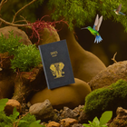 Christmas Special Journals