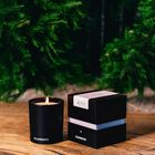 ILLUMINATE best selling Christmas Candle