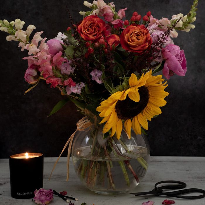 ILLUMINATE best selling Autumn Scent Candle TWO