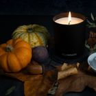 ILLUMINATE best selling Autumn Scent Candle TWO