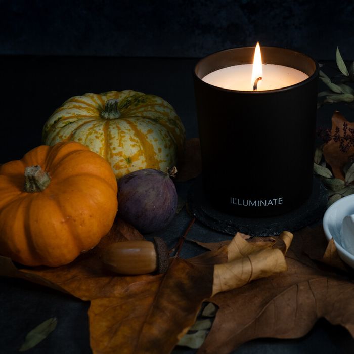 ILLUMINATE best selling Autumn Scent Candle TWO