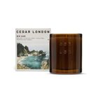 Big Sur Soy Wax Candle