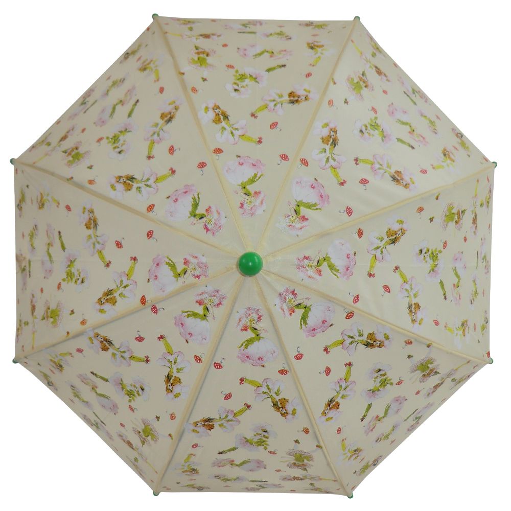 New Designs Umbrellas