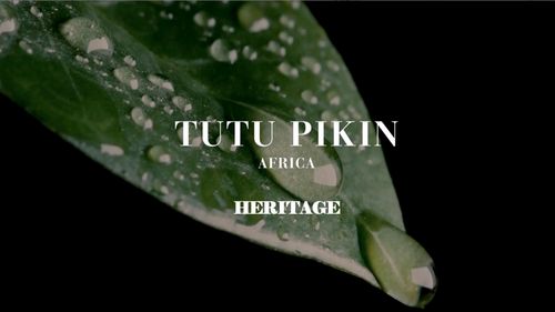 Heritage Video