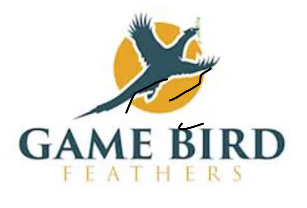 Game Bird Feathers