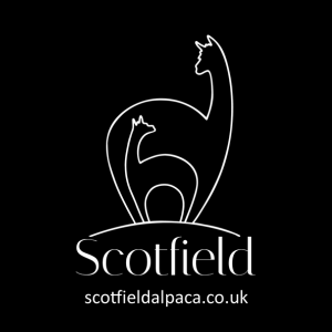 Scotfield Alpaca