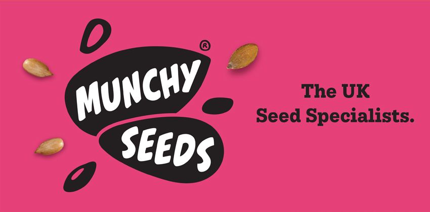 Munchy Seeds