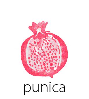 Punica Ltd