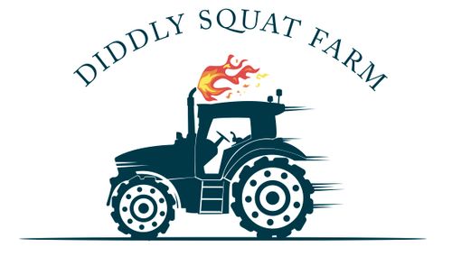 Diddly Squat Farm Shop