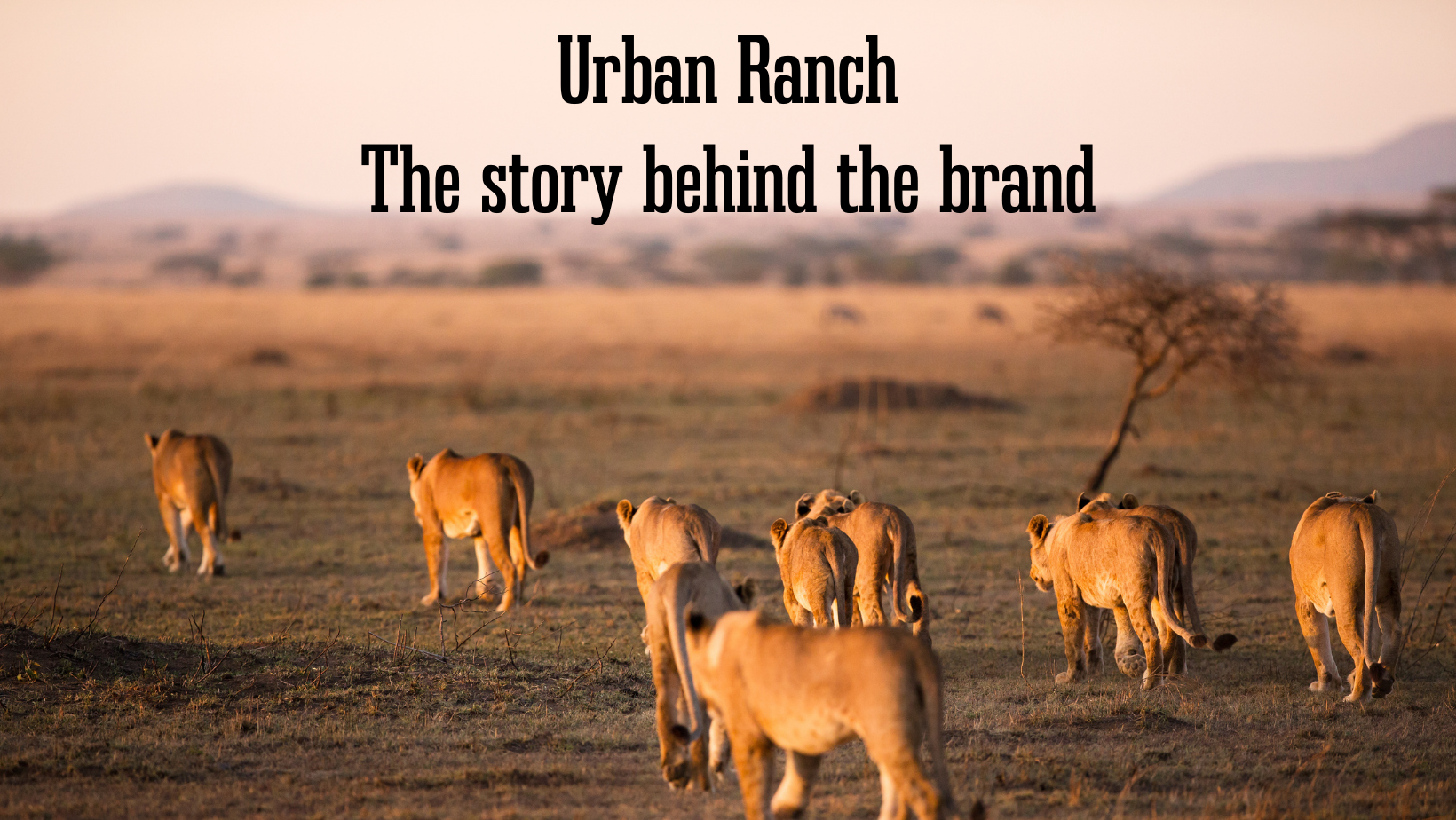 Urban Ranch - Saving wildlife and wild spaces!