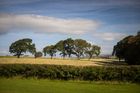 Old Hall Caravan Park