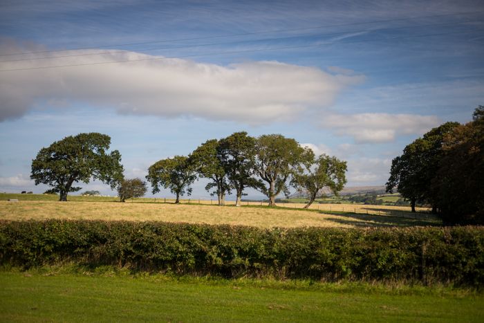 Old Hall Caravan Park