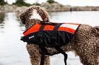 Baltic dog life Jackets