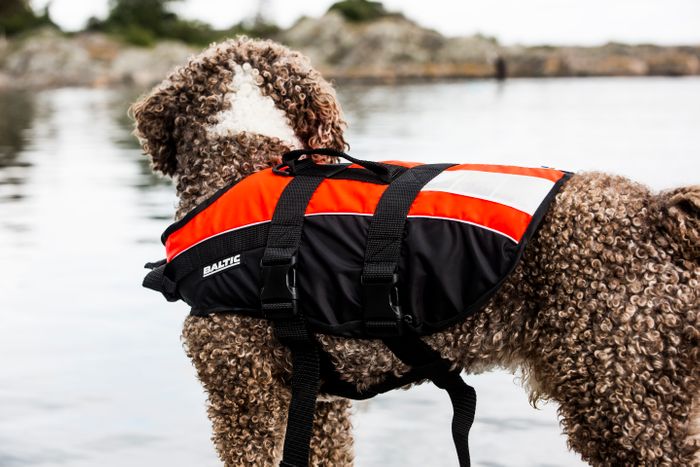 Baltic dog life Jackets