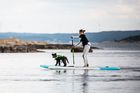 Baltic dog life Jackets