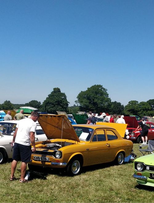 Ford AVO Owners Club – From Wrecks to Winners