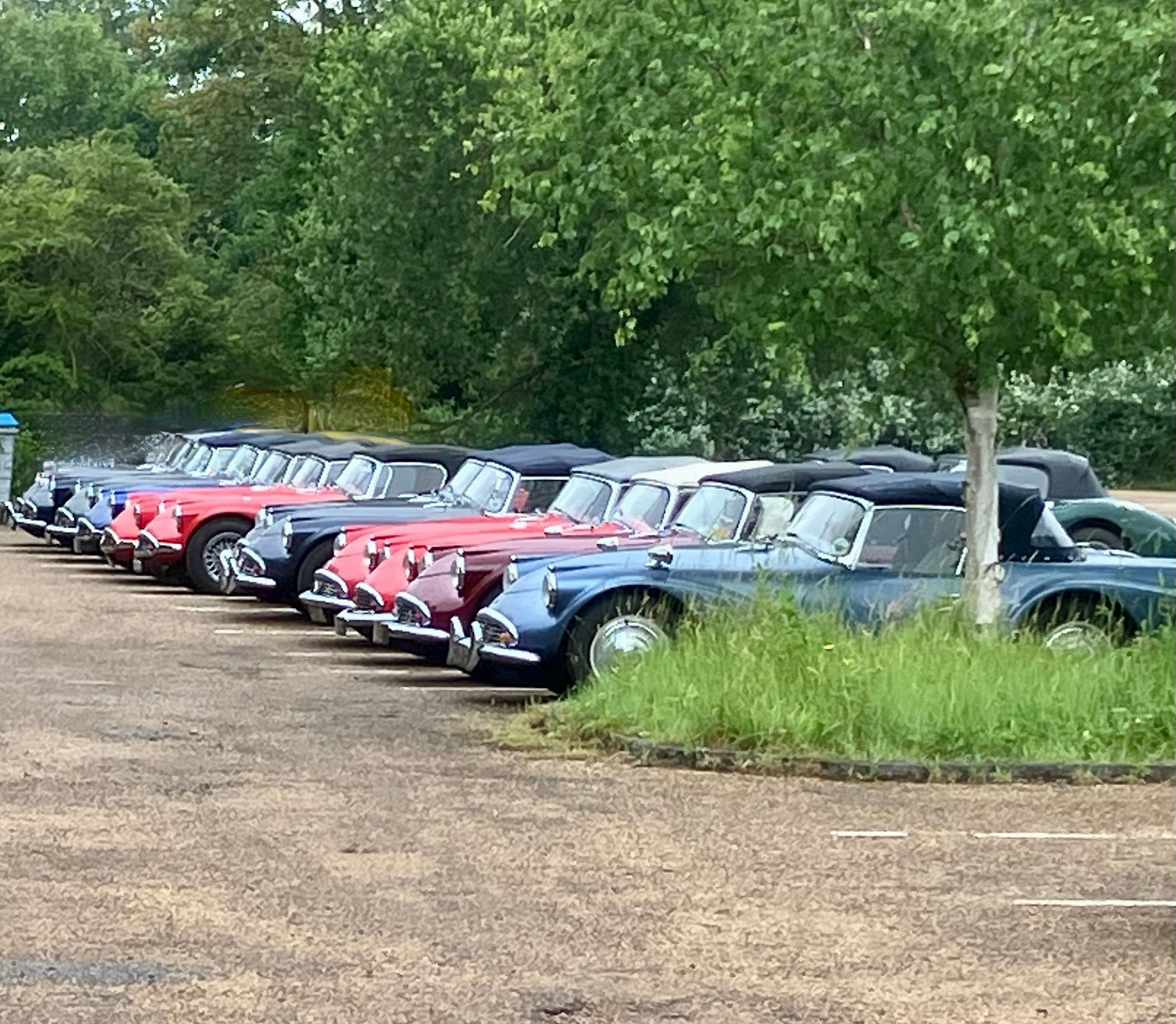 2025 Daimler SP250 Owners Survey