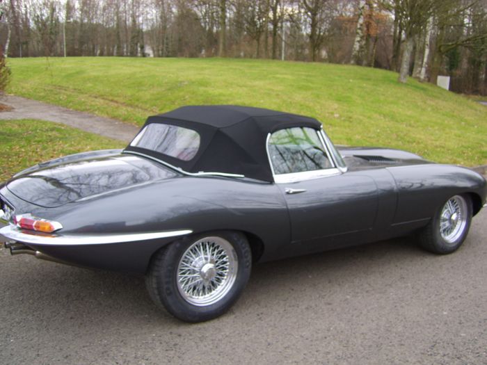 JAGUAR TRIM