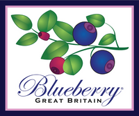 Company name - Blueberry London Limited