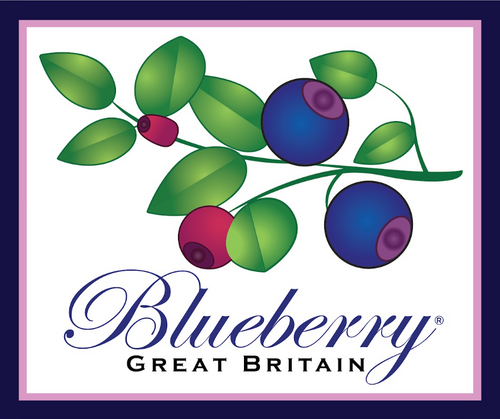 Blueberry London Limited