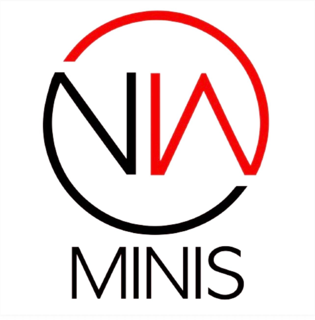 Exhibitor profile image for NW Minis