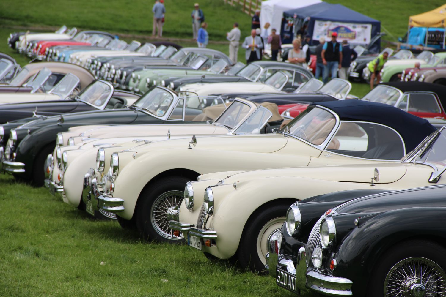 Cover image - Jaguar XK Club