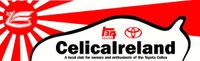 Company name - Celica Ireland