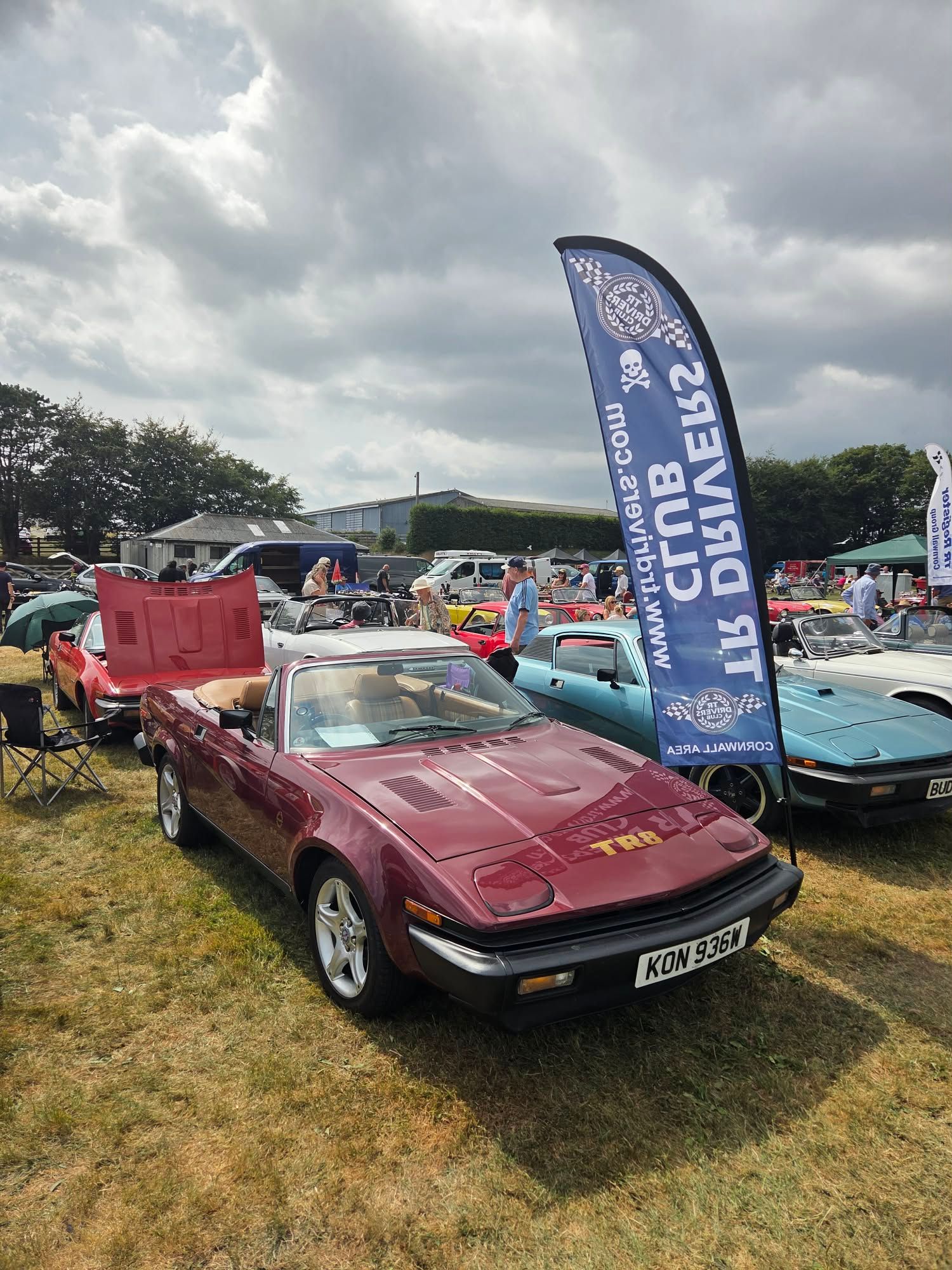 Company name - TR Drivers Club