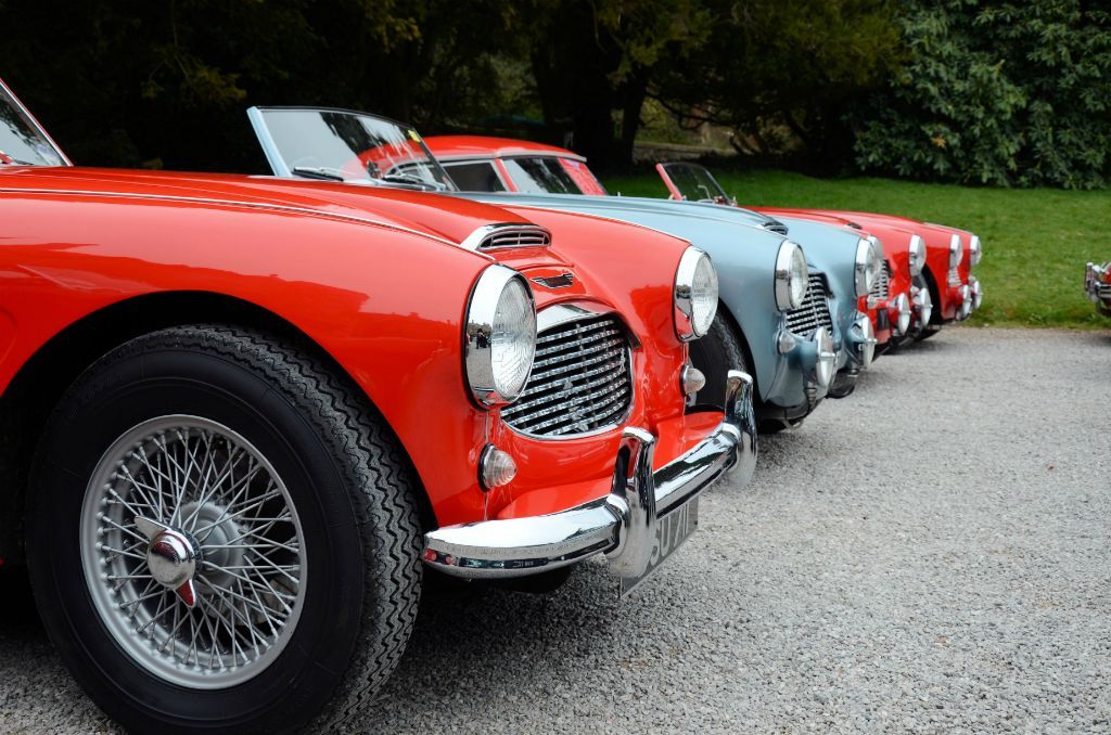 Austin Healey Club