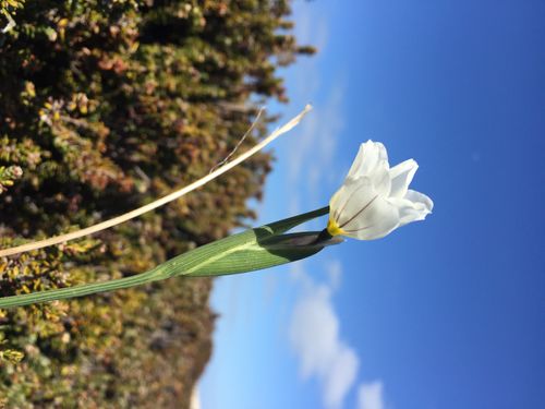 Sample Itineraries Booklet