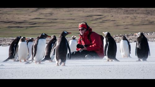 Discover the Falkland Islands with Falkland Islands Holidays