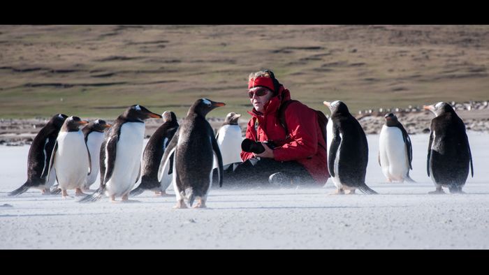 Discover the Falkland Islands with Falkland Islands Holidays