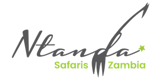 Exhibitor profile image for Ntanda Safaris Zambia