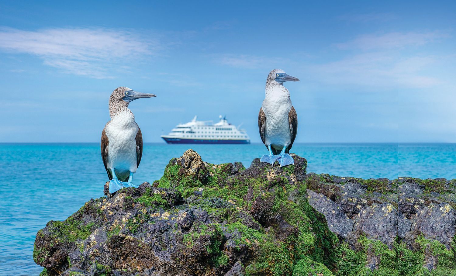 Cover image - National Geographic-Lindblad Expeditions