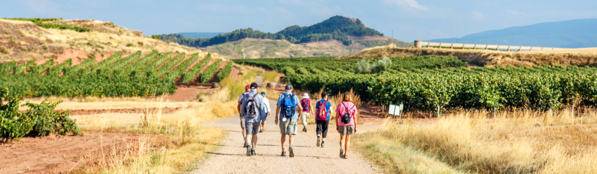 Cover image - Involved Holidays