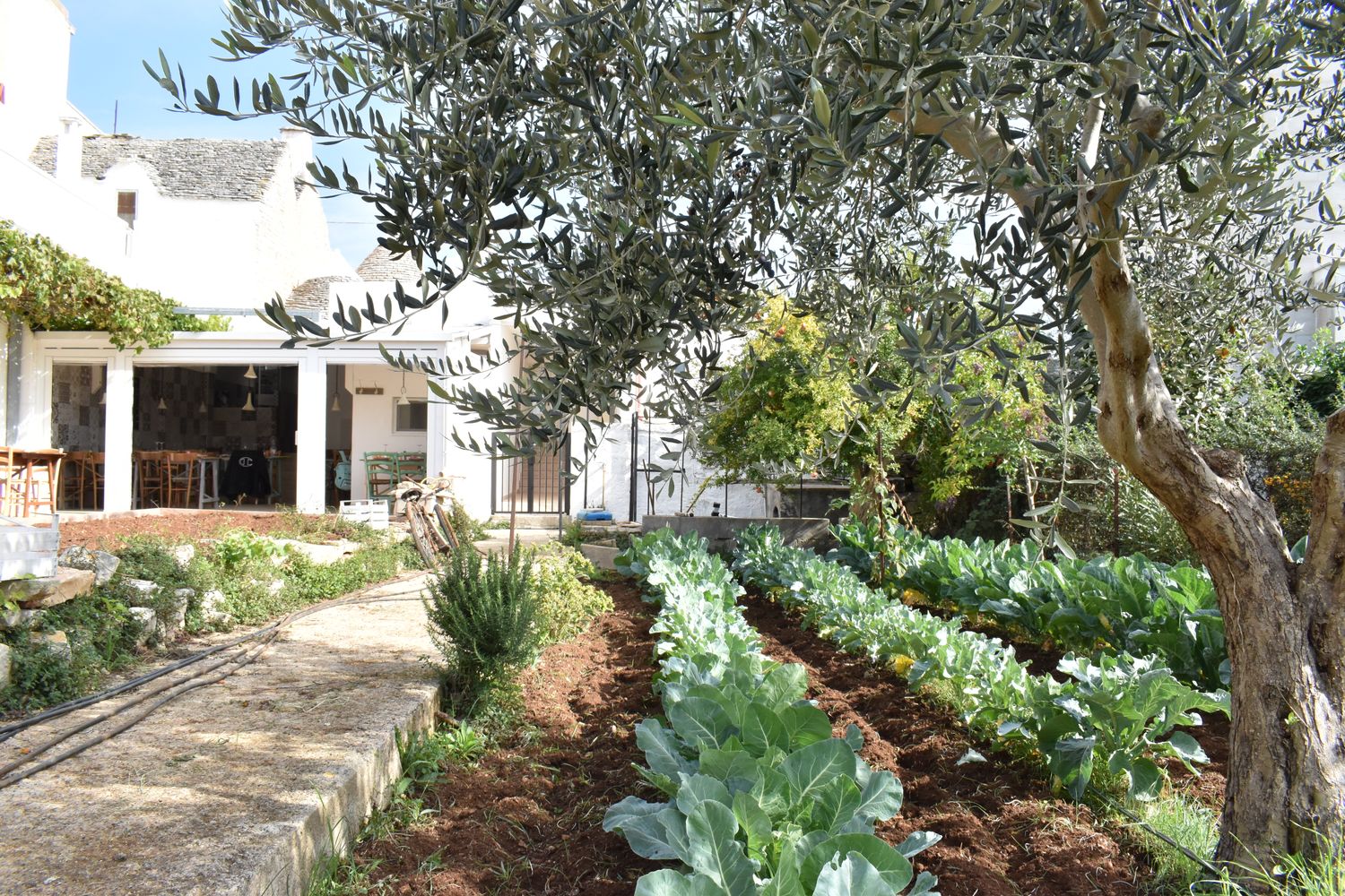 Cover image - Magari Tours