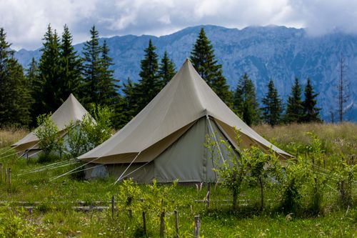 Poiana Tămaș Wilderness Camp