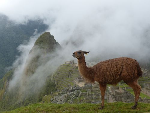 Country pages with suggested itineraries