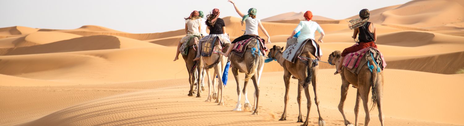 Nomadic Tours