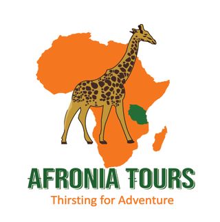 Exhibitor profile image for Afronia Tours
