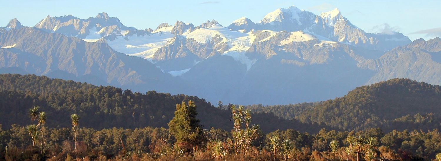 New Zealand In Depth
