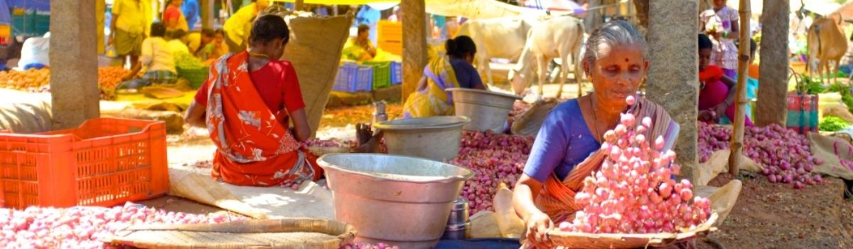Authentic India Tours